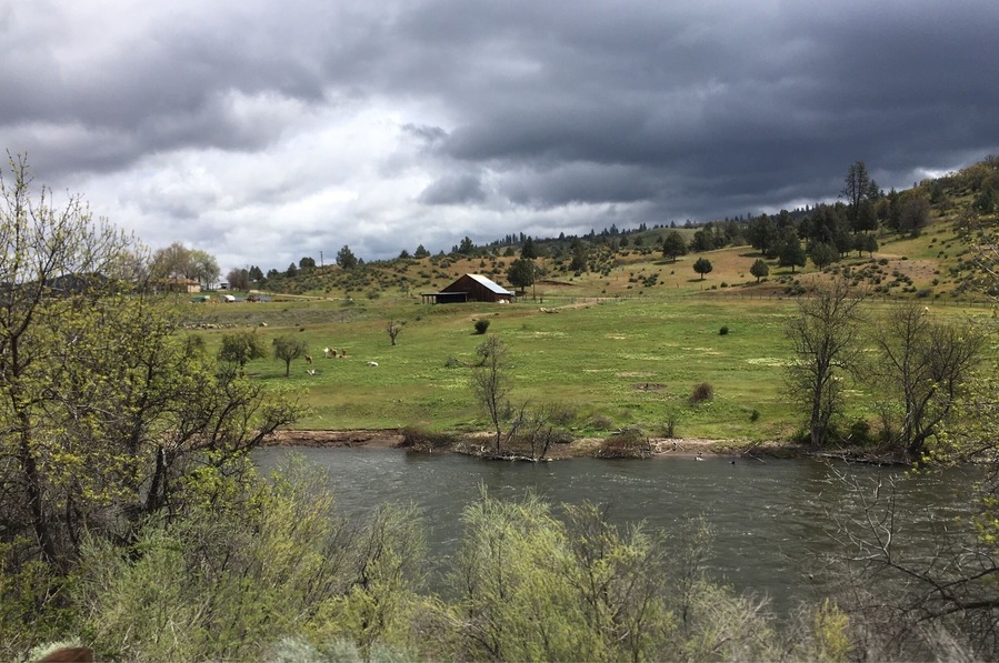 Klamath River northbound on I5. Picturesque country setting. 
#california #nature #river
(April 2017)