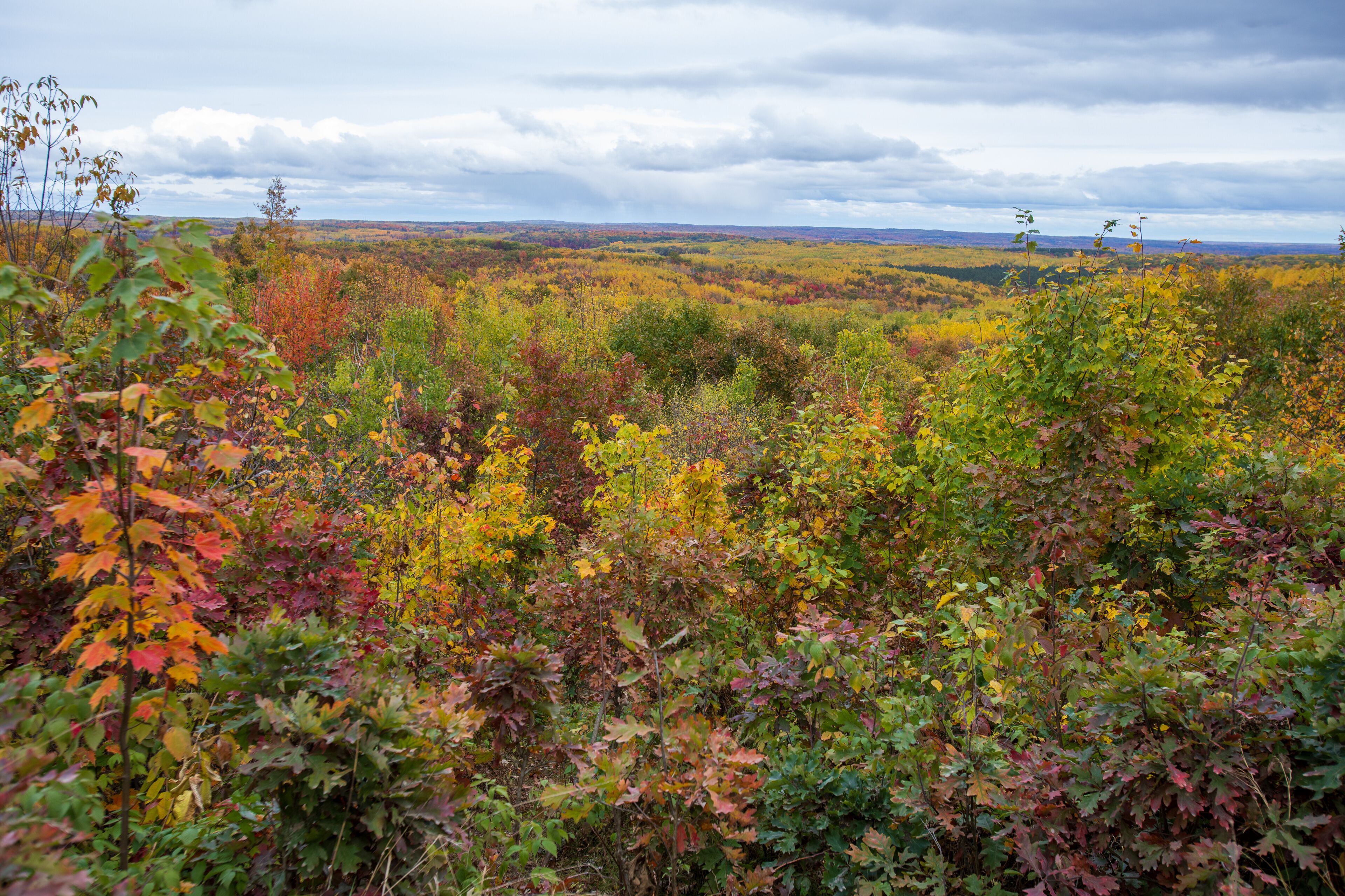 A landscape with autumn foliage, a cloudy sky, and distant hills.