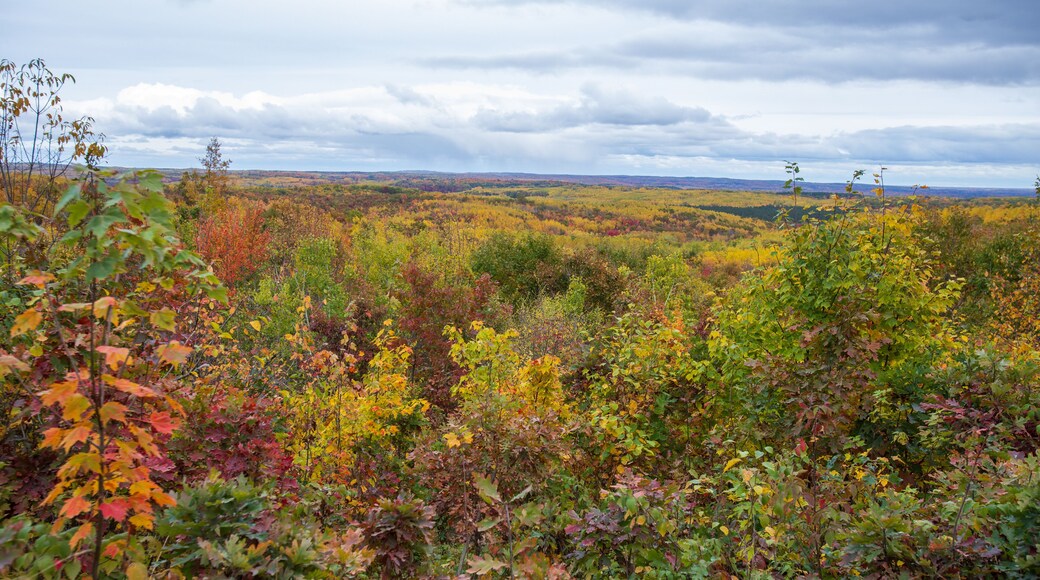 A landscape with autumn foliage, a cloudy sky, and distant hills.