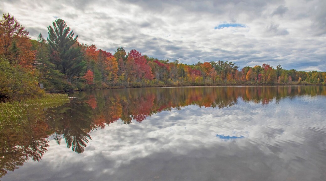 A calm lake reflecting colorful autumn trees and a cloudy sky.