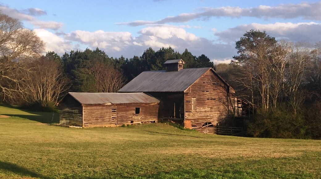 A few miles north of Butler, Georgia, this beautiful reminder of the past sits on the side of the road. It was nearly sunset when I passed by. The rays of the setting sun made this a compelling discovery!