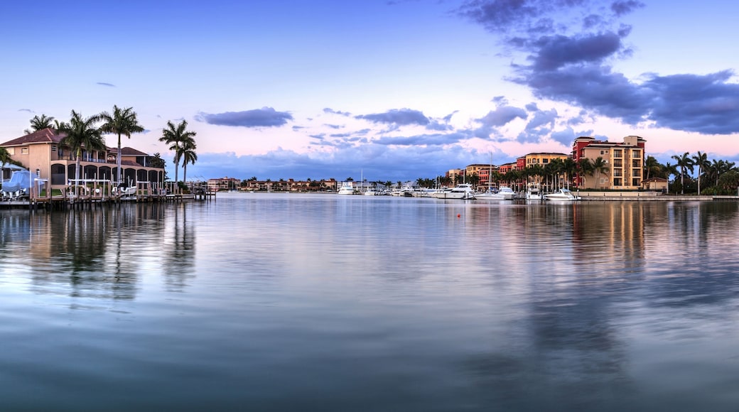 A marina with boats, palm trees, and buildings along the waterfront.