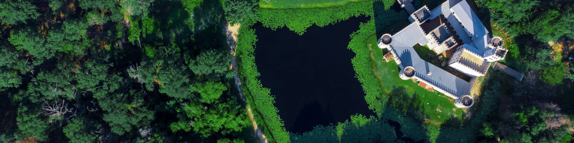 An aerial view of a castle surrounded by dense forest and a lake.