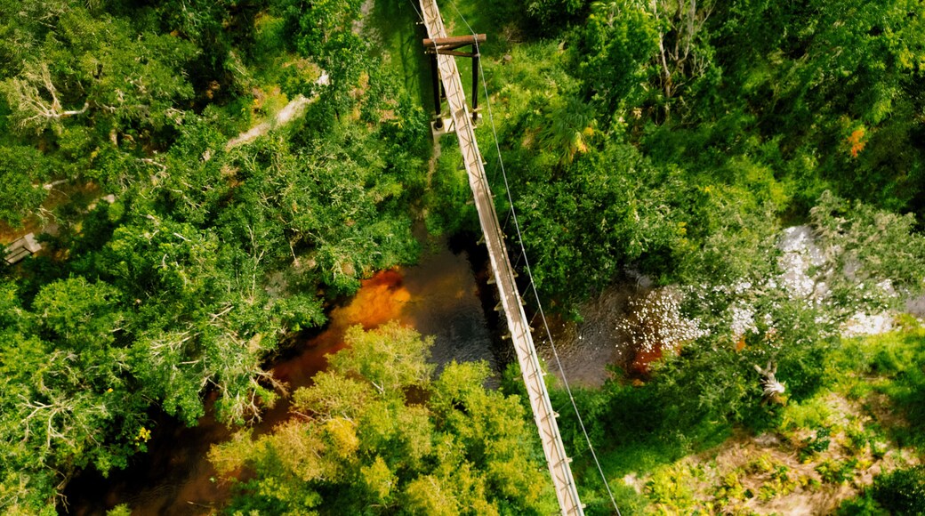 Flying Over Paynes Creek and the suspension bridge in rural Hardee County, FL