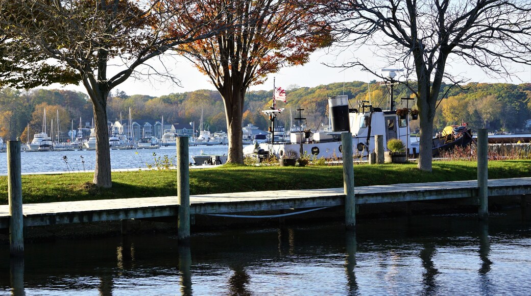 Scenes on the Kalamazoo River, Allegan County