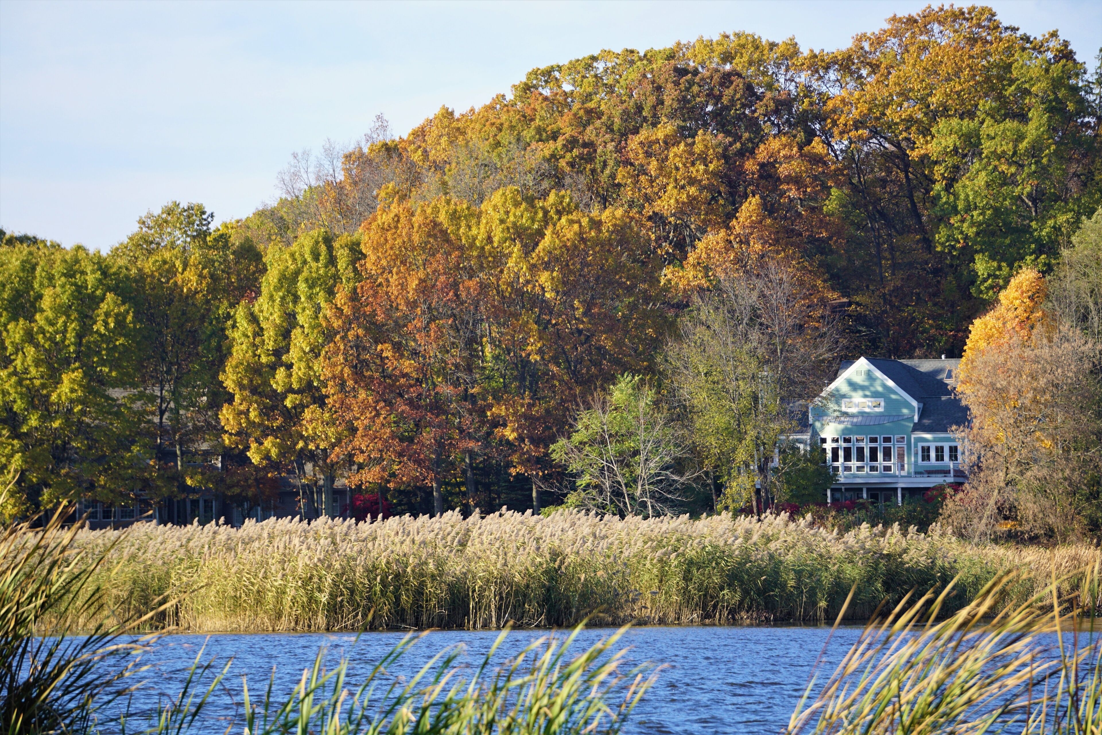 Scenes on the Kalamazoo River, Allegan County