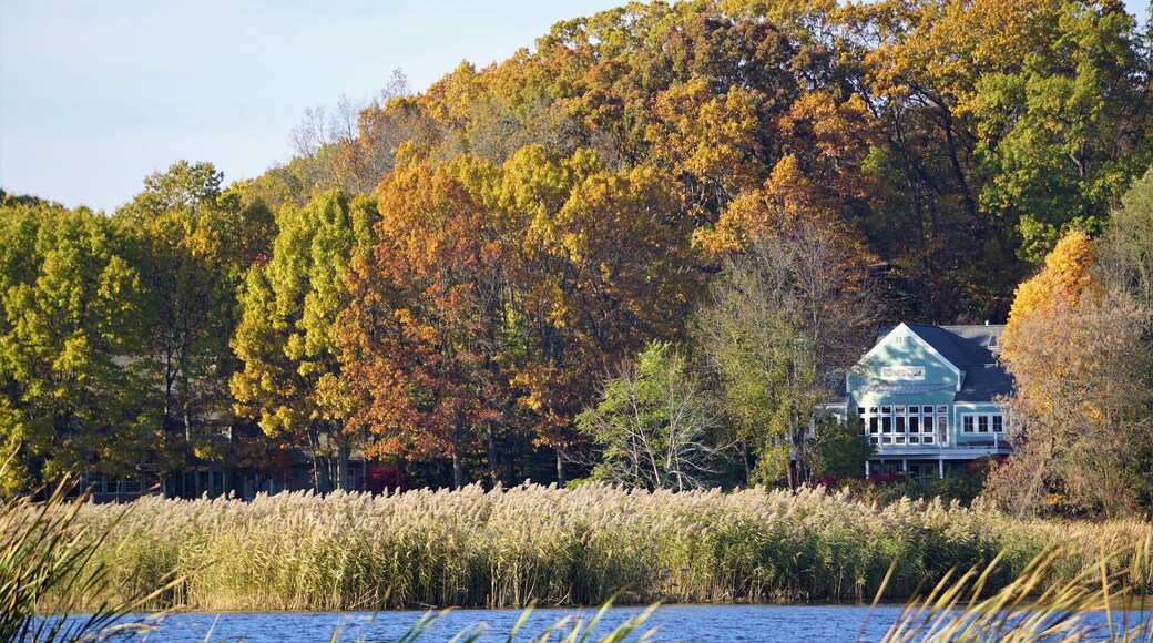 Scenes on the Kalamazoo River, Allegan County