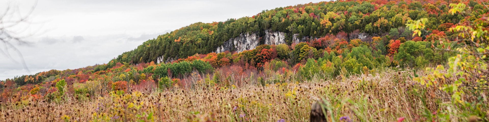 Bluffs and meadow with fall foliage in Ontario, Canada