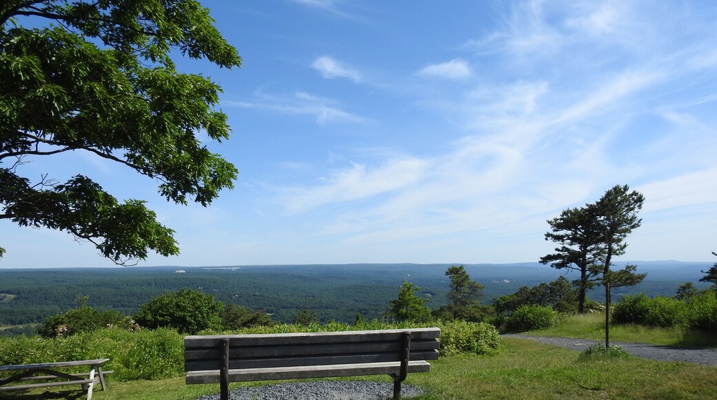Un banc donnant sur un paysage boisé, avec un ciel dégagé.