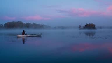 A calm lake with a person paddling a canoe, surrounded by mist and trees.