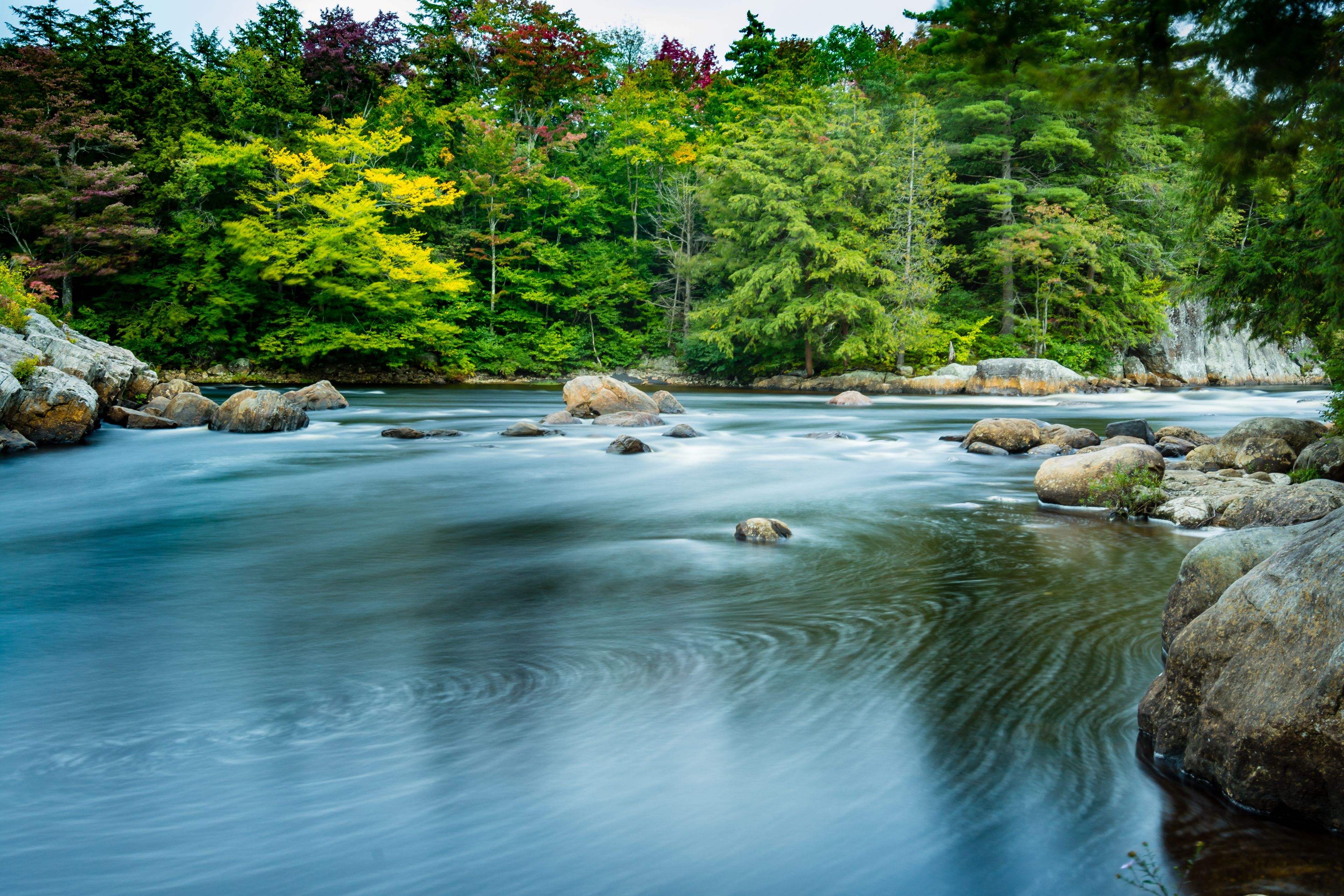 A river flowing through a forest with large rocks and trees.