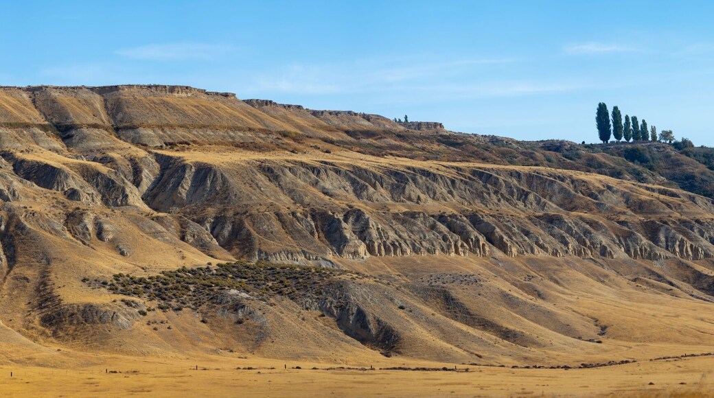 Eastern Washington Landscape Panorama Near Ringold