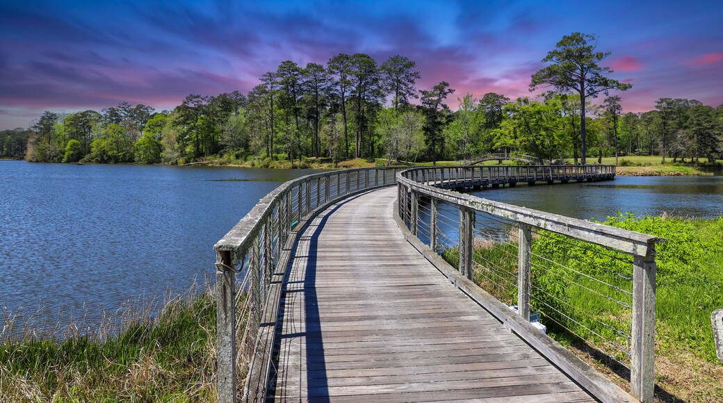A long winding brown wooden bridge over a rippling blue lake surrounded by lush green trees, grass and plants with blue sky and powerful clouds at sunset at Callaway Gardens in Pine Mountain Georgia