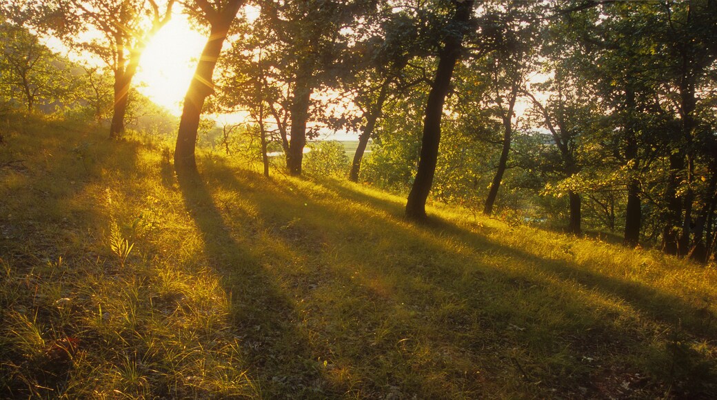 Condado de Trempealeau