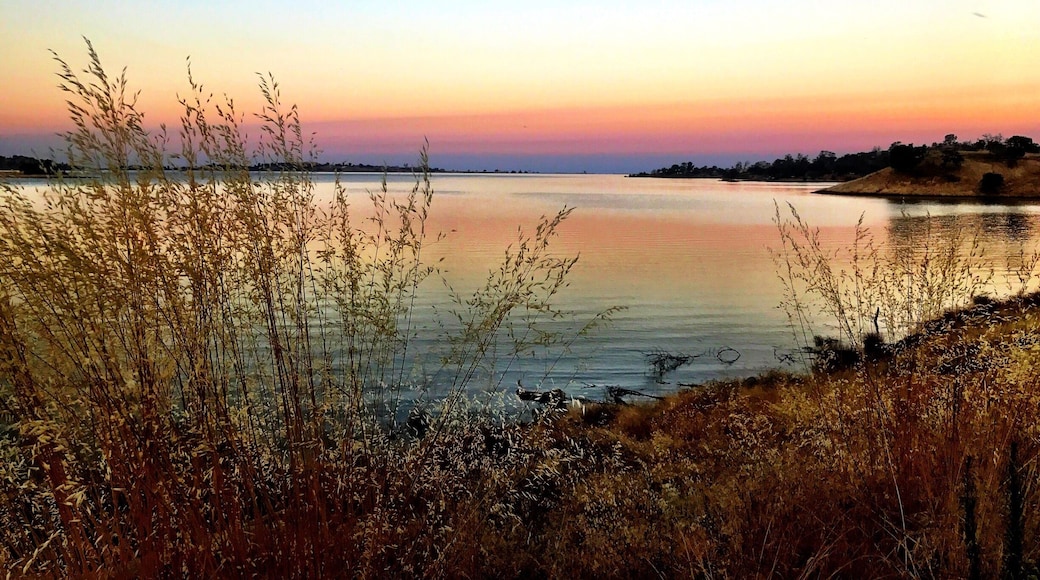 Millerton Lake near Buzzard's Roost Trail. This mornings hike was a new trail for me which I landed up going right oppose to left at the fork but got some great pictures ...
#TakeAHike #NaturesBeauty #GetOutside #SaveOurPlanetDoYourPart #LightingIsEverything #TheGreatOutdoors