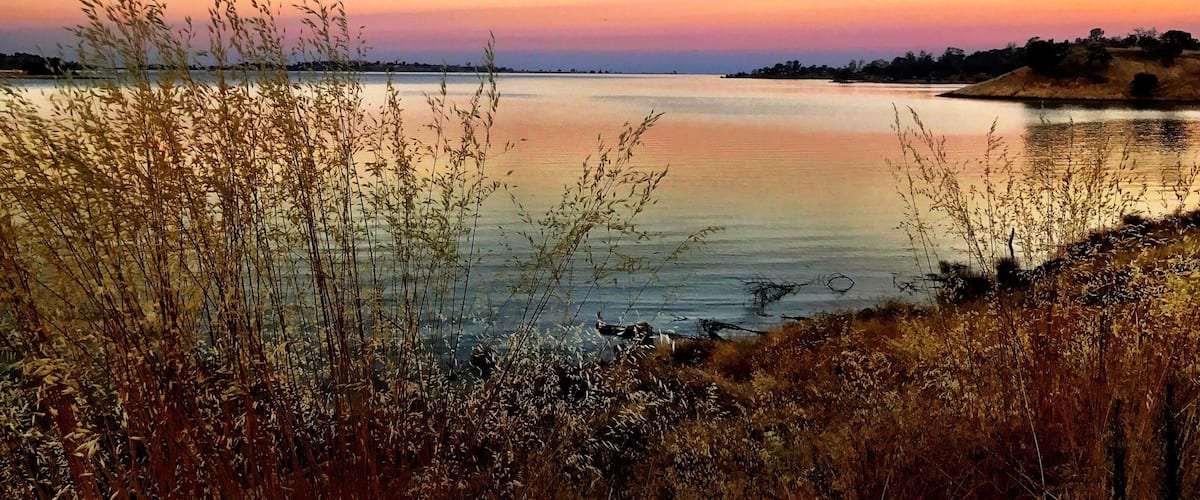 Millerton Lake near Buzzard's Roost Trail. This mornings hike was a new trail for me which I landed up going right oppose to left at the fork but got some great pictures ...
#TakeAHike #NaturesBeauty #GetOutside #SaveOurPlanetDoYourPart #LightingIsEverything #TheGreatOutdoors