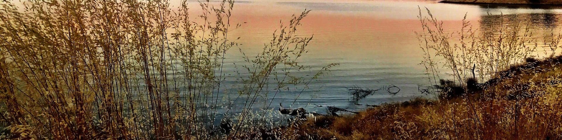 Millerton Lake near Buzzard's Roost Trail. This mornings hike was a new trail for me which I landed up going right oppose to left at the fork but got some great pictures ...
#TakeAHike #NaturesBeauty #GetOutside #SaveOurPlanetDoYourPart #LightingIsEverything #TheGreatOutdoors