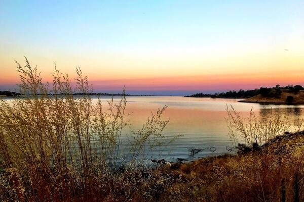 Millerton Lake near Buzzard's Roost Trail. This mornings hike was a new trail for me which I landed up going right oppose to left at the fork but got some great pictures ...
#TakeAHike #NaturesBeauty #GetOutside #SaveOurPlanetDoYourPart #LightingIsEverything #TheGreatOutdoors