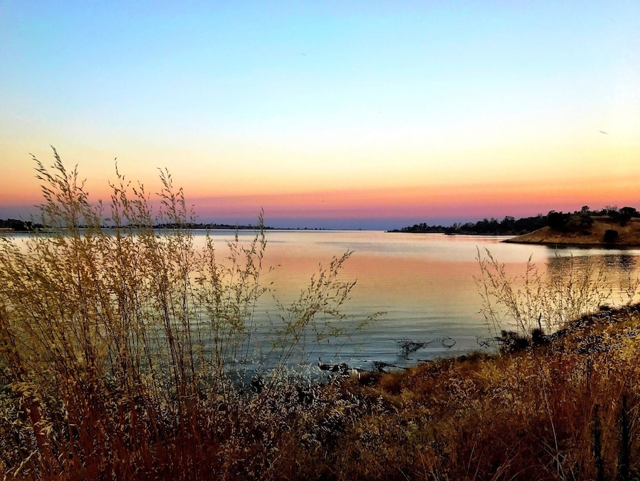 Millerton Lake near Buzzard's Roost Trail. This mornings hike was a new trail for me which I landed up going right oppose to left at the fork but got some great pictures ...
#TakeAHike #NaturesBeauty #GetOutside #SaveOurPlanetDoYourPart #LightingIsEverything #TheGreatOutdoors