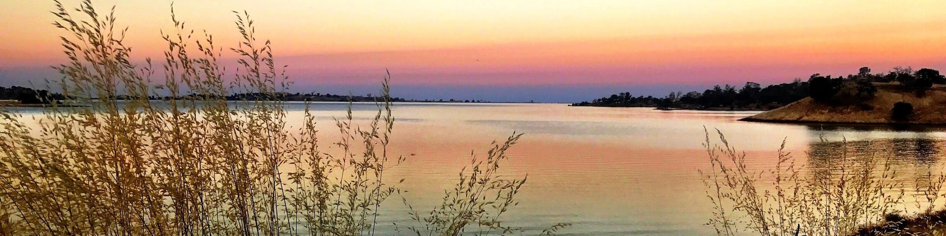 Millerton Lake near Buzzard's Roost Trail. This mornings hike was a new trail for me which I landed up going right oppose to left at the fork but got some great pictures ...
#TakeAHike #NaturesBeauty #GetOutside #SaveOurPlanetDoYourPart #LightingIsEverything #TheGreatOutdoors