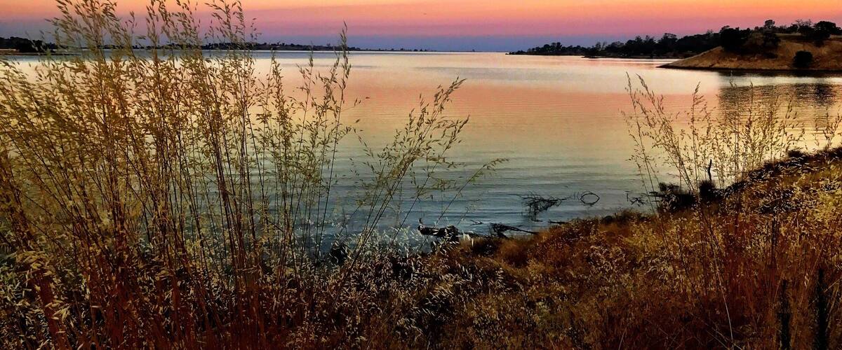 Millerton Lake near Buzzard's Roost Trail. This mornings hike was a new trail for me which I landed up going right oppose to left at the fork but got some great pictures ...
#TakeAHike #NaturesBeauty #GetOutside #SaveOurPlanetDoYourPart #LightingIsEverything #TheGreatOutdoors