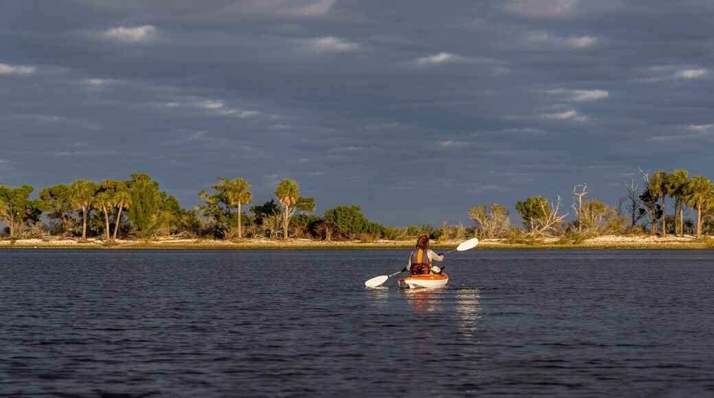Panorama of woman kayaking in the Gulf of Mexico with birds flying overhead