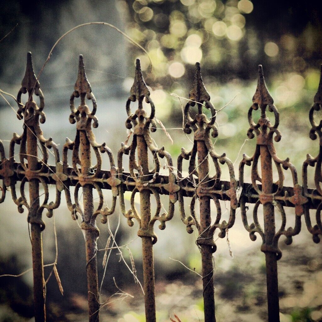 Historic cemetery on the remote Atsena Otie Key. You can only get to the island by boat (or kayak as I did this day). No longer inhabited by humans, this tiny island offers secluded beaches, short hiking trails and a wonderful paddle.