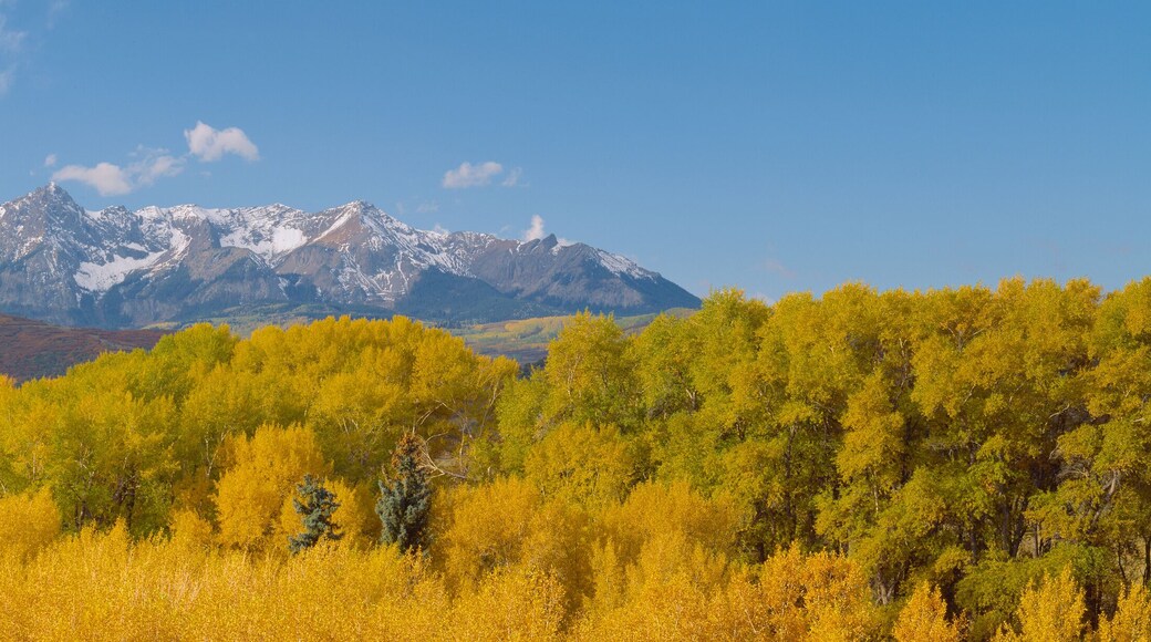 Comté de San Miguel