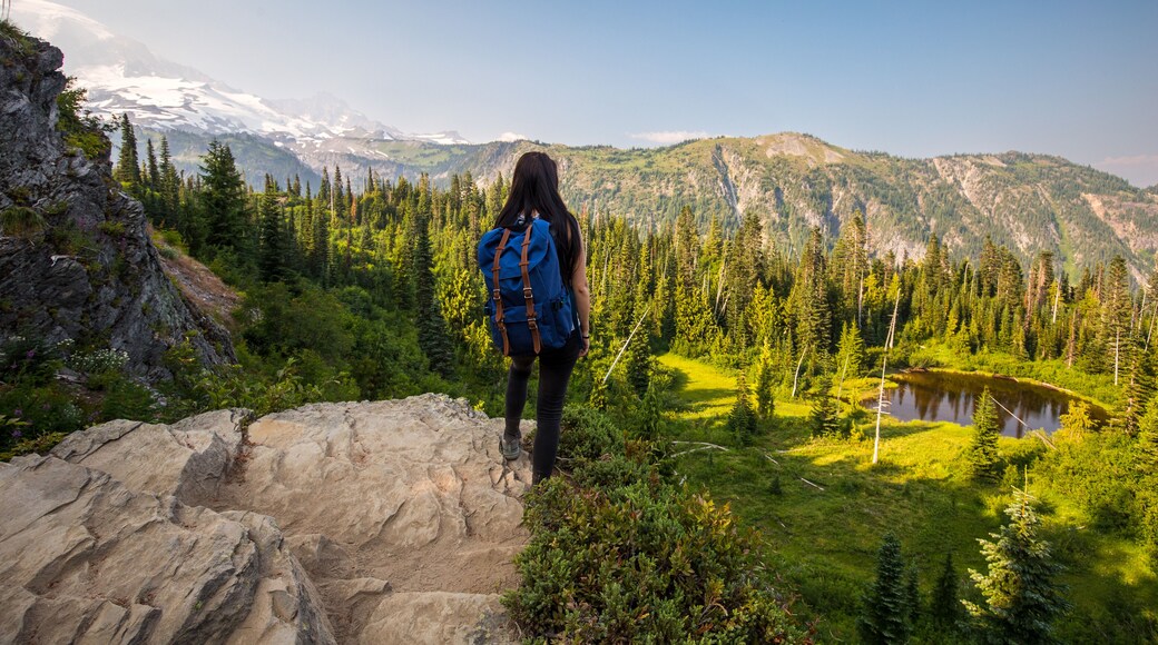 A hiker on a rocky trail with a mountainous landscape and a lake in the background.