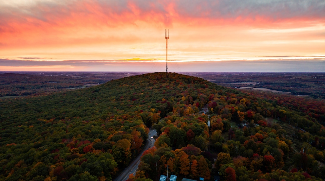 A hilltop with a communication tower, surrounded by autumn-colored trees and a winding road.