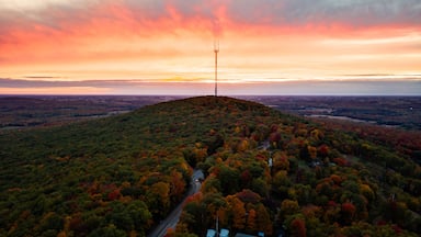 A hilltop with a communication tower, surrounded by autumn-colored trees and a winding road.
