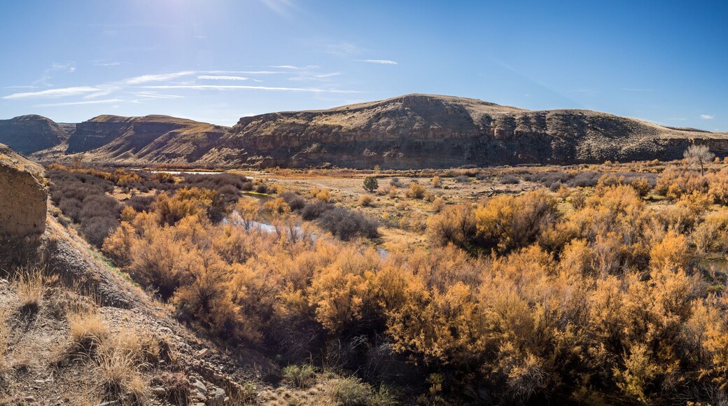 Gunnison River in Delta County, Colorado