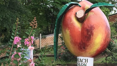 A local favorite for fresh peaches and peach ice cream at the Peach Dome. There is also a water fountain with Cape Hatterus Lighthouse.