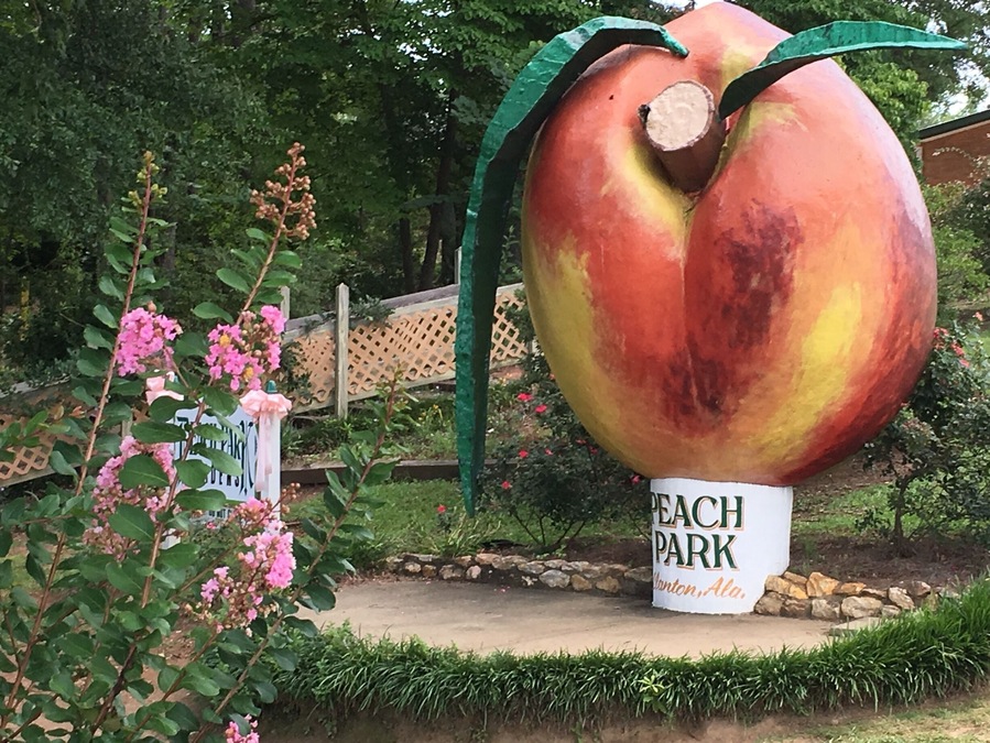 A local favorite for fresh peaches and peach ice cream at the Peach Dome. There is also a water fountain with Cape Hatterus Lighthouse.