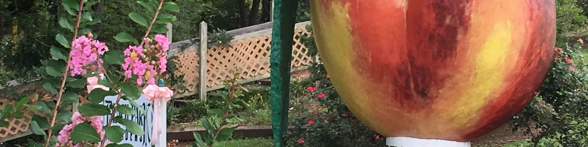 A local favorite for fresh peaches and peach ice cream at the Peach Dome. There is also a water fountain with Cape Hatterus Lighthouse.