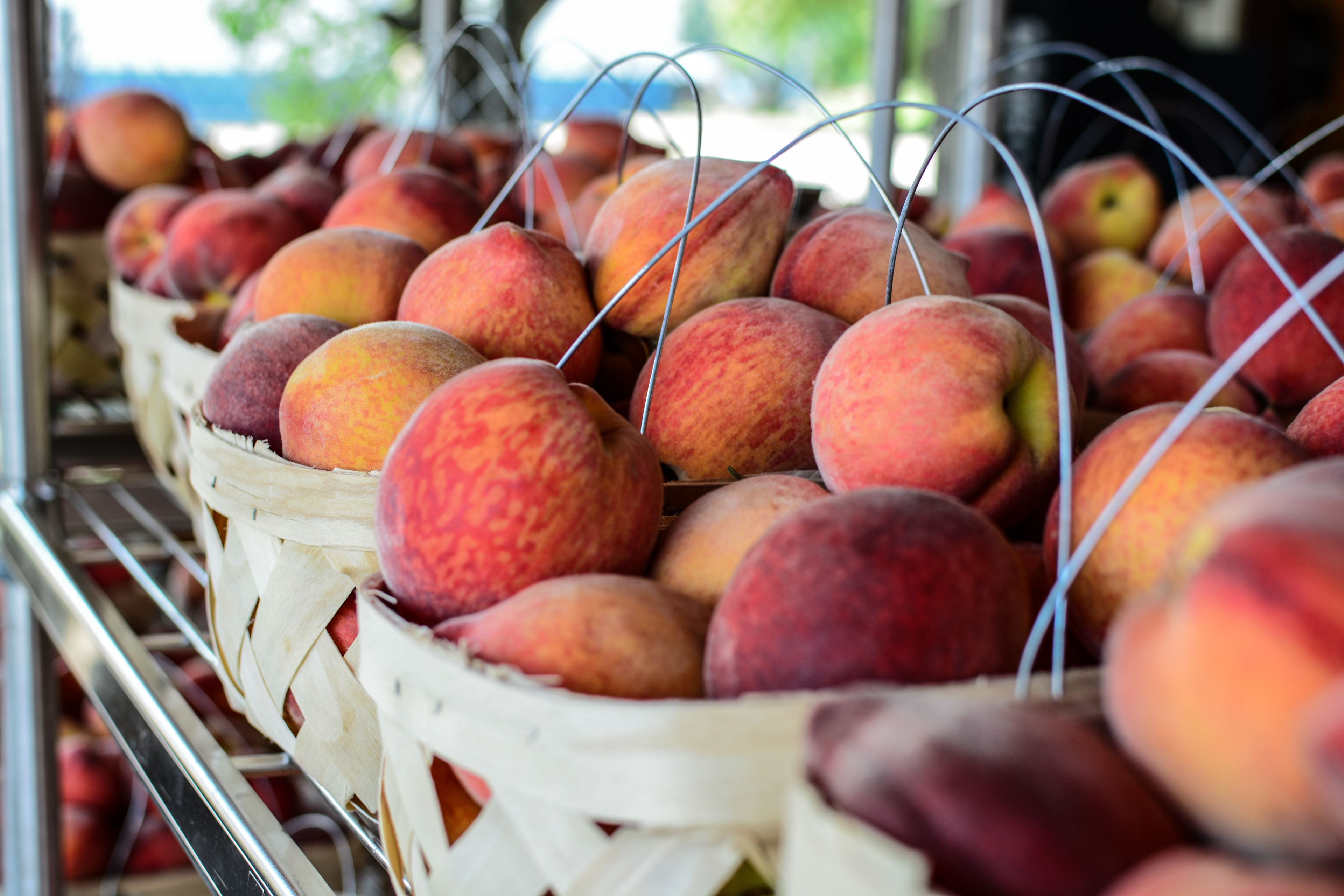 A display of peaches in baskets.