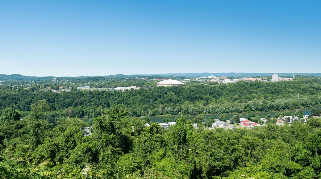 Condado de Monongalia