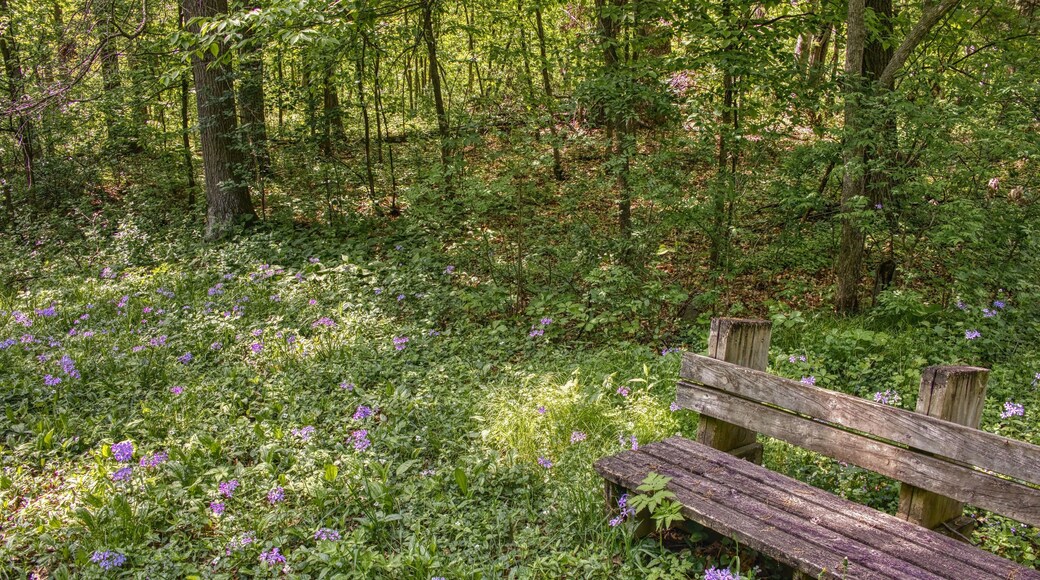 Lake Maria State Park is located in Minnesota