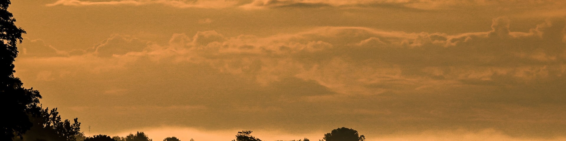 A misty landscape with trees silhouetted against a cloudy sky.