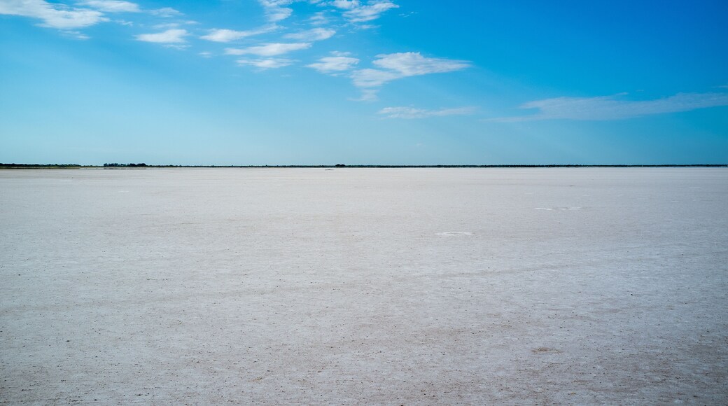 Salt Plains Oklahoma