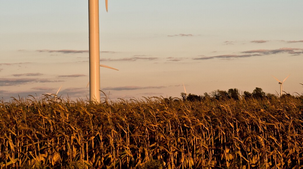 Wind turbine in Tuscola County, Michigan
