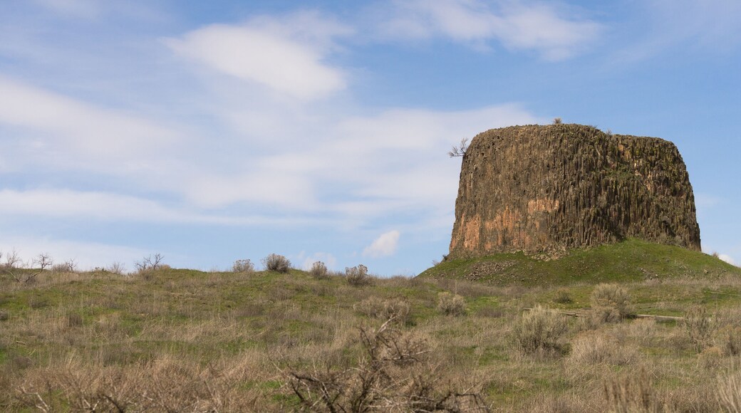 ์ฐ๋งํธ๋ผ ์นด์ดํฐ