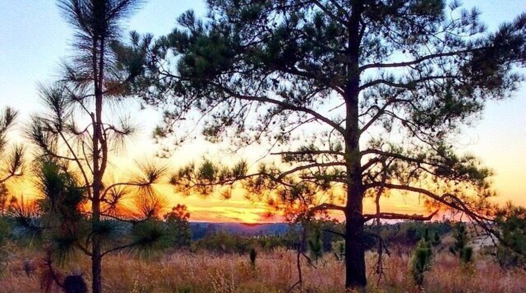 North Carolina has the most beautiful sunsets I have ever seen!