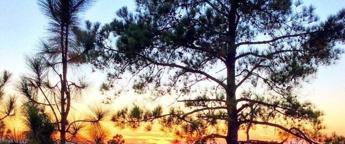 North Carolina has the most beautiful sunsets I have ever seen!