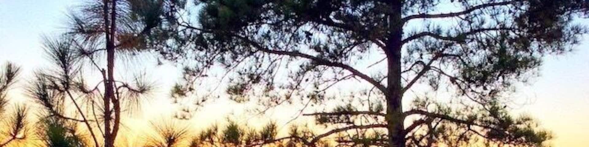 North Carolina has the most beautiful sunsets I have ever seen!