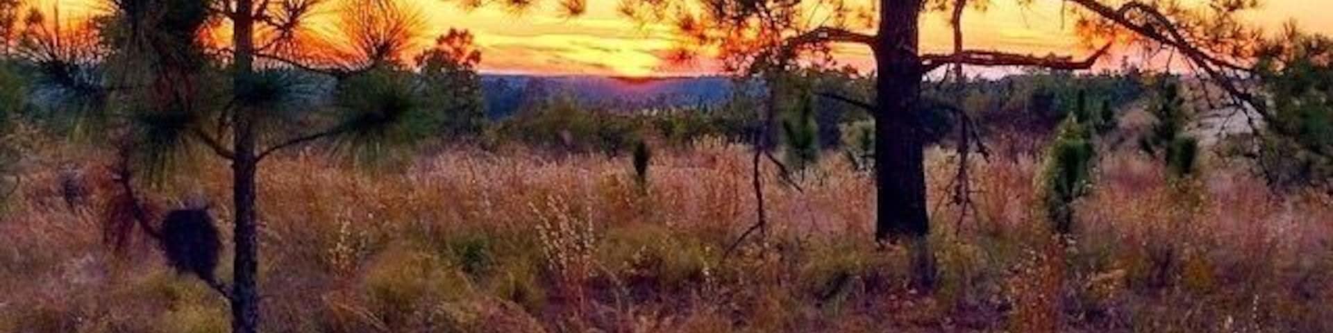 North Carolina has the most beautiful sunsets I have ever seen!