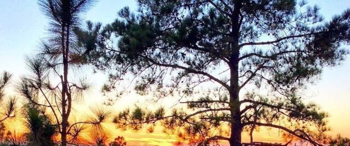 North Carolina has the most beautiful sunsets I have ever seen!