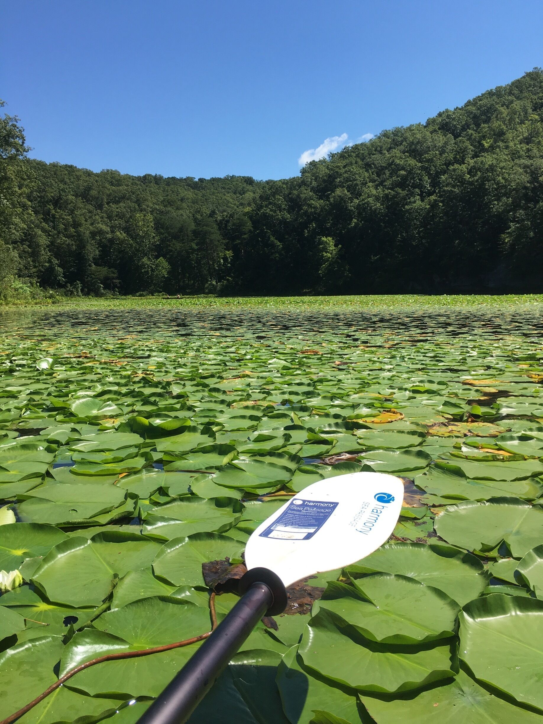 Lake Vesusius, in Ohio. Although the water is probably disgusting, many memories are made here each summer by families looking to go hiking, kayaking, canoeing, or just take a nice swim and maybe jump off a few rocks. 