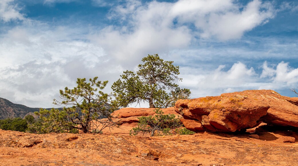 Red Canyon Park in Fremont County, Colorado