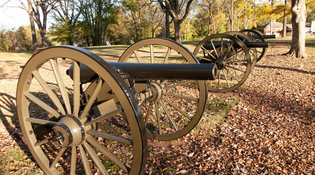 Civil War Cannon at the Battle of Franklin, Tennessee Site